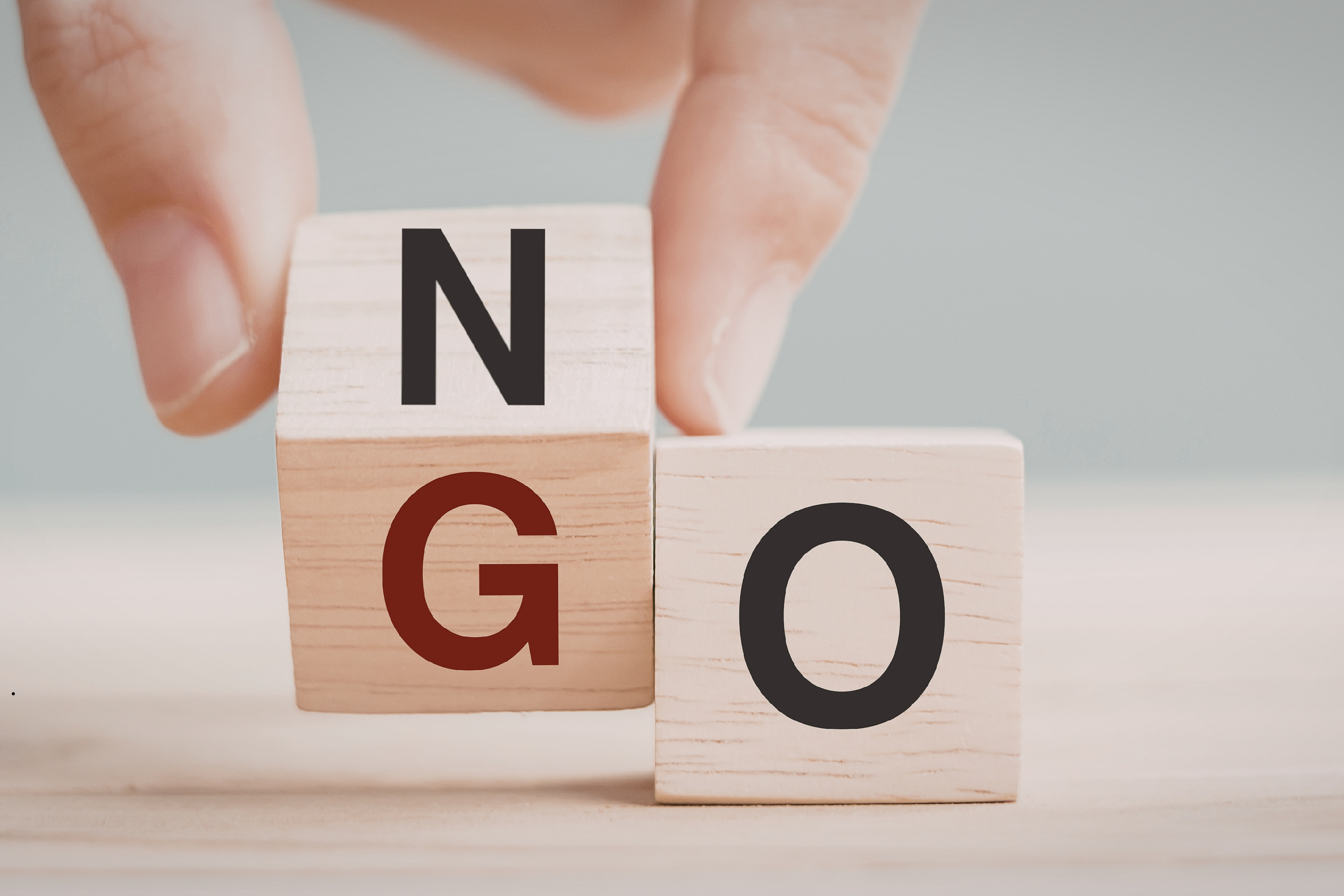 Drewniane klocki, które tworzą napis NGO.1
